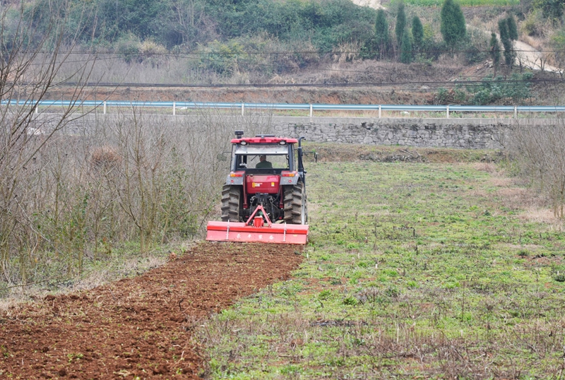正在耕地的旋耕機(jī)。郭露 攝.jpg