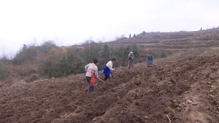 鐘山區春耕現場。