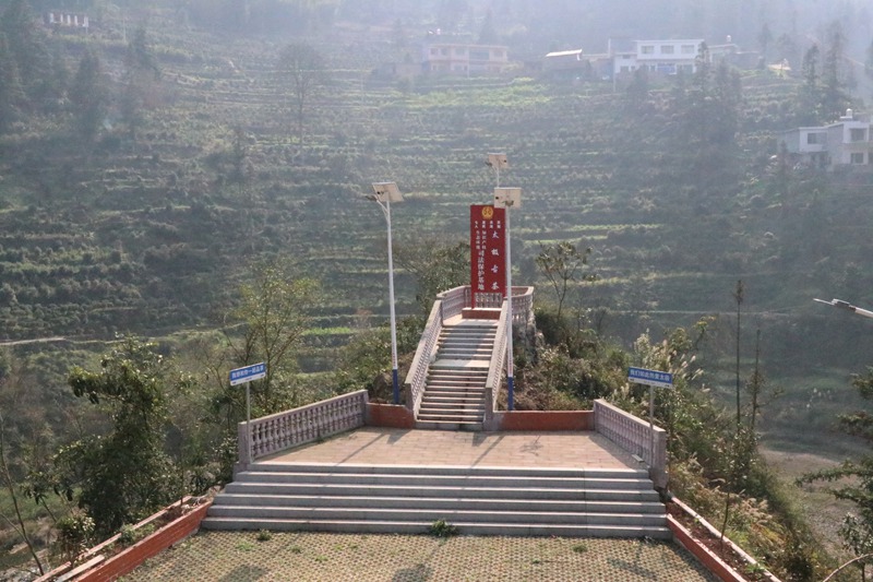 太極古茶生態(tài)環(huán)境、知識(shí)產(chǎn)權(quán)、司法保護(hù)基地。