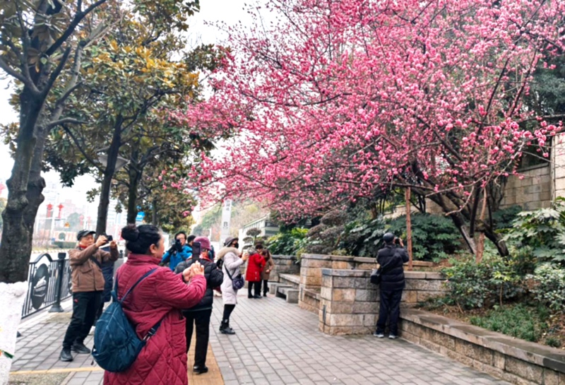 春日尋芳,花漾南明。