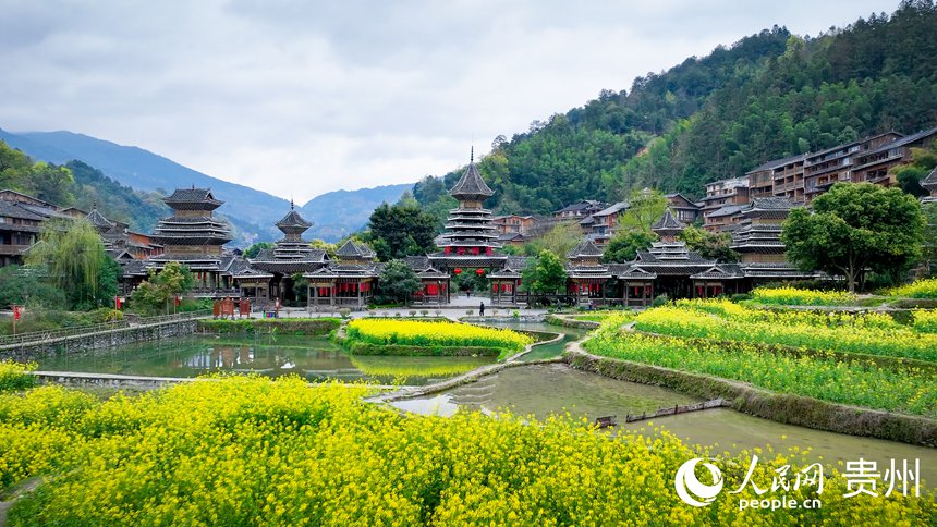 春日里的肇興侗寨。人民網記者 涂敏攝