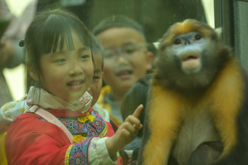 2025年3月19日，小朋友在貴州梵凈山國家級自然保護區黔金絲猴研究中心參加自然教育活動。