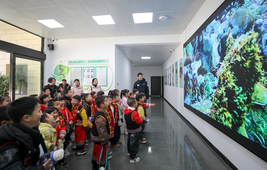 2025年3月19日，小朋友在貴州梵凈山國家級自然保護區黔金絲猴研究中心參加自然教育活動。