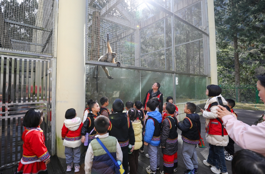 2025年3月19日，小朋友在貴州梵凈山國家級自然保護區黔金絲猴研究中心參加自然教育活動。