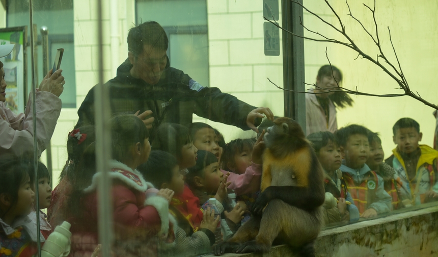 2025年3月19日，小朋友在貴州梵凈山國家級自然保護區黔金絲猴研究中心參加自然教育活動。