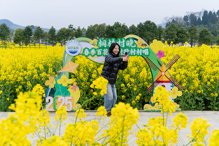 游客在油菜花田中打卡拍照。人民網(wǎng)記者 涂敏攝