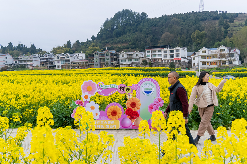 游客在油菜花田中游覽。人民網記者 涂敏攝
