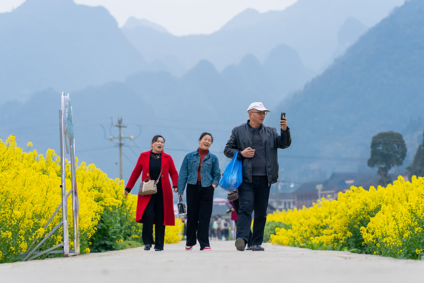 游客在油菜花田中游覽。人民網記者 涂敏攝