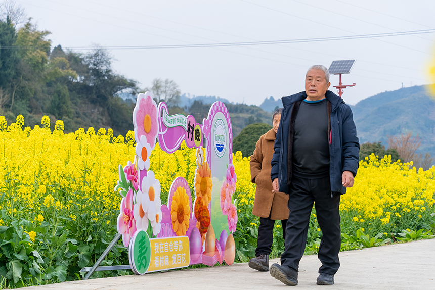 游客在油菜花田中游覽。人民網記者 涂敏攝