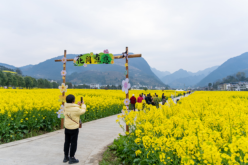 游客在油菜花田中打卡拍照。人民網記者 涂敏攝