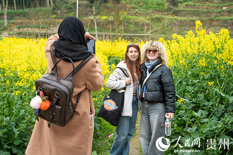 留學生打卡桐梓千畝油菜花田。人民網 陽茜攝