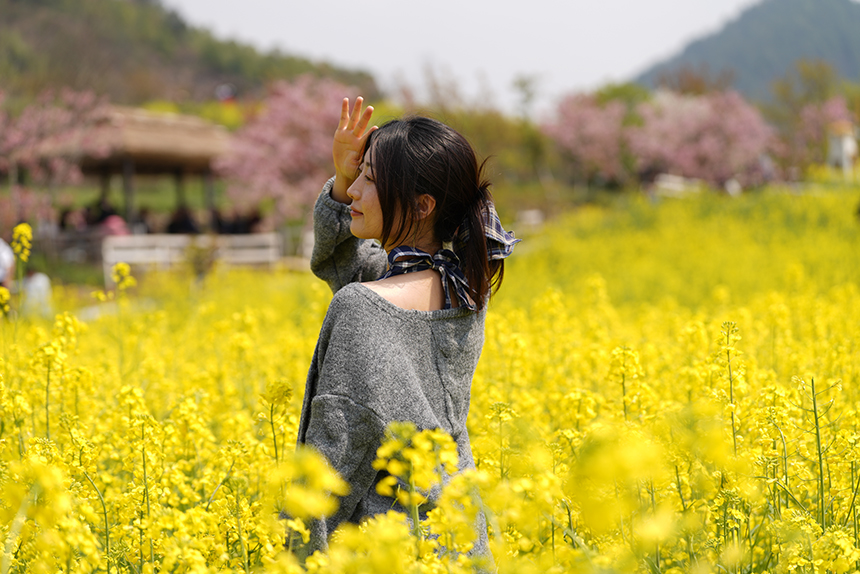 游客在永樂花海拍照打卡。 王平亮攝