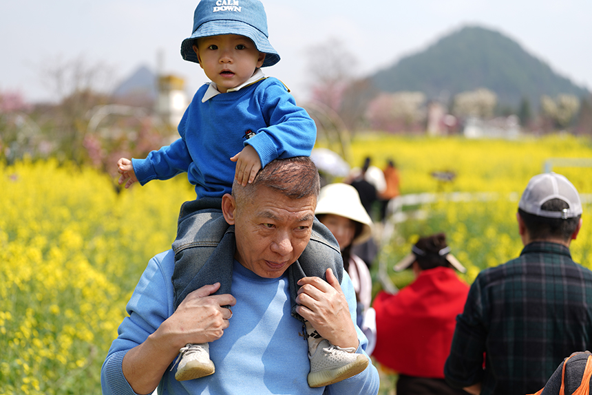 永樂花海親子出游。 王平亮攝