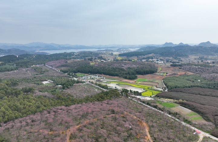 活動現(xiàn)場 (2).jpg