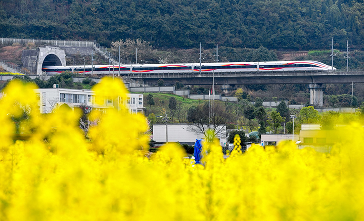 2、郝官村的長灘河畔油菜花盛開。