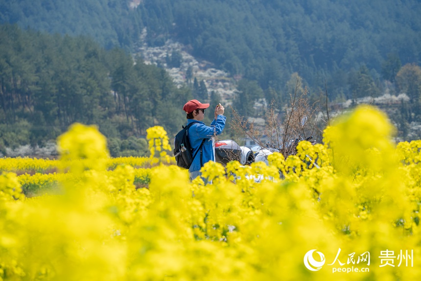游客在油菜花田中賞花拍照。人民網記者 涂敏攝