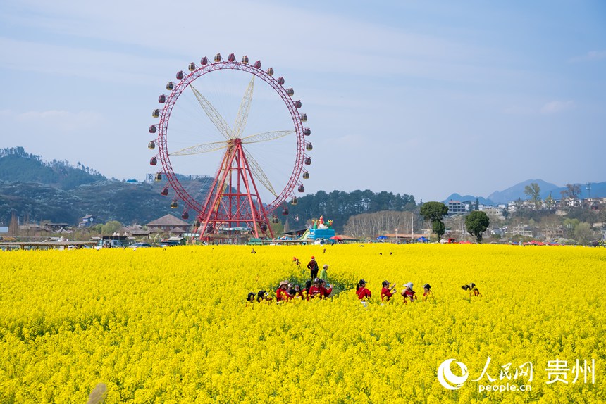 游客在油菜花田中賞花拍照。人民網記者 涂敏攝