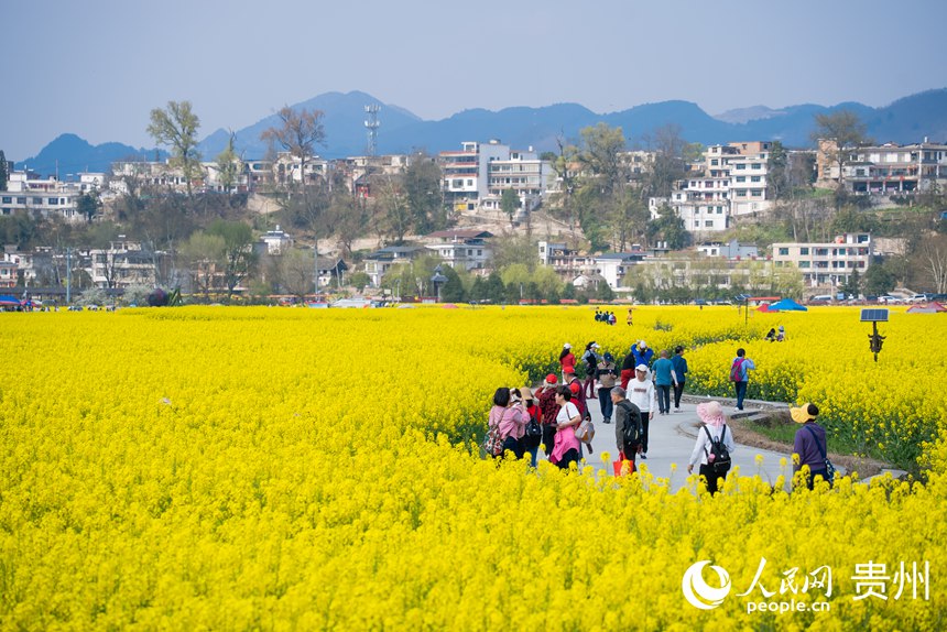 游客在油菜花田中賞花拍照。人民網(wǎng)記者 涂敏攝