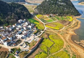 貴安新區馬場鎮松林村：盤活閑置土地 助推鄉村振興