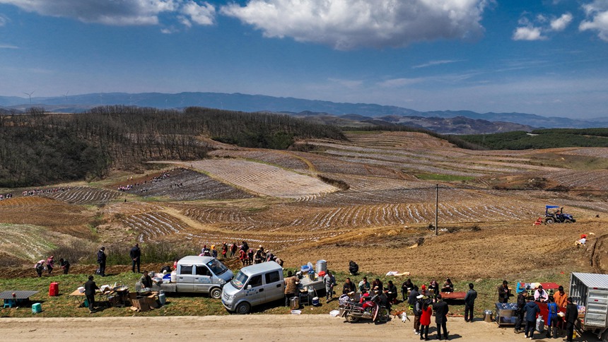 務工群眾在威寧自治縣雪山鎮大發村畫眉梁子馬鈴薯種植基地吃午餐。