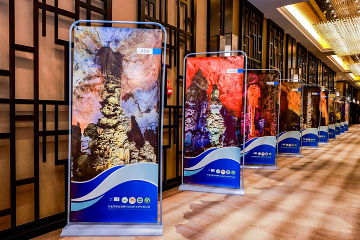 貴州織金洞銀雨樹獲15億元創新保險護航。