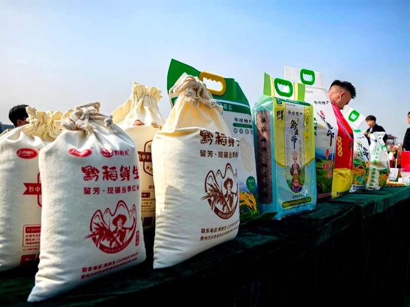 直播現(xiàn)場。