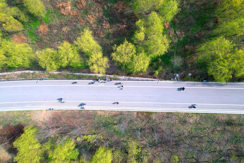 《生態公園春意濃》。王近松攝