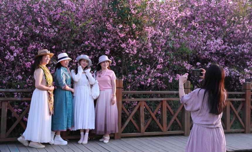 前來打卡的游客。