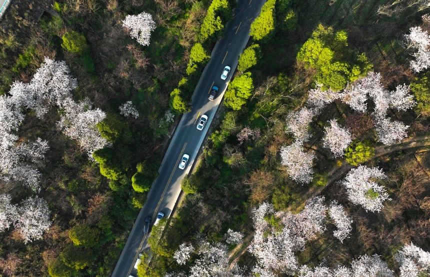 貴陽清鎮市紅楓湖畔。