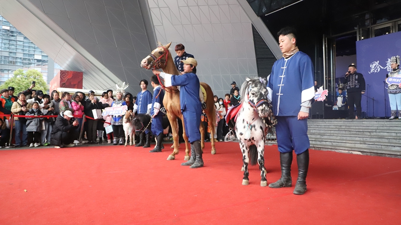 游客駐足觀看馬兒