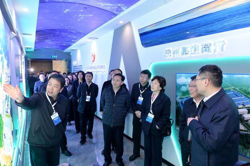 參會嘉賓到貴州裕能、福泉盛屯企業(yè)實地考察。向憶峰攝