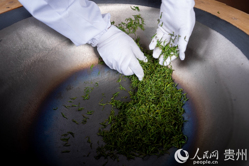 活動現場傳統(tǒng)制茶技藝展示。人民網記者 涂敏攝