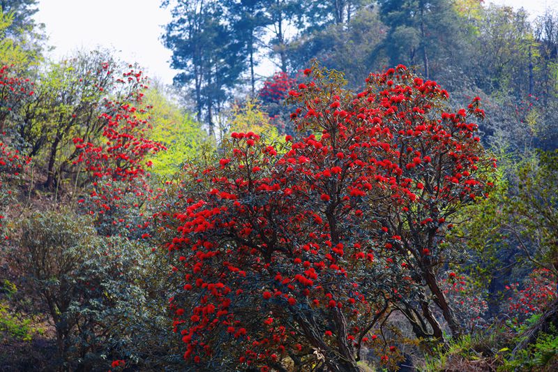 活動現場。