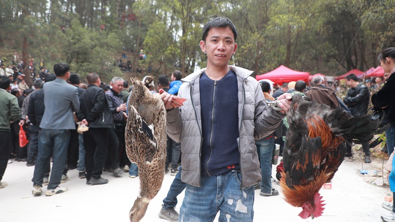 趣味活動，游客抓獲雞鴨。