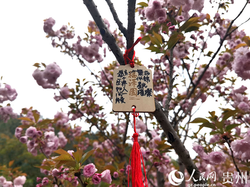 懸掛“生命寄語”木牌。人民網記者 王秀芳攝