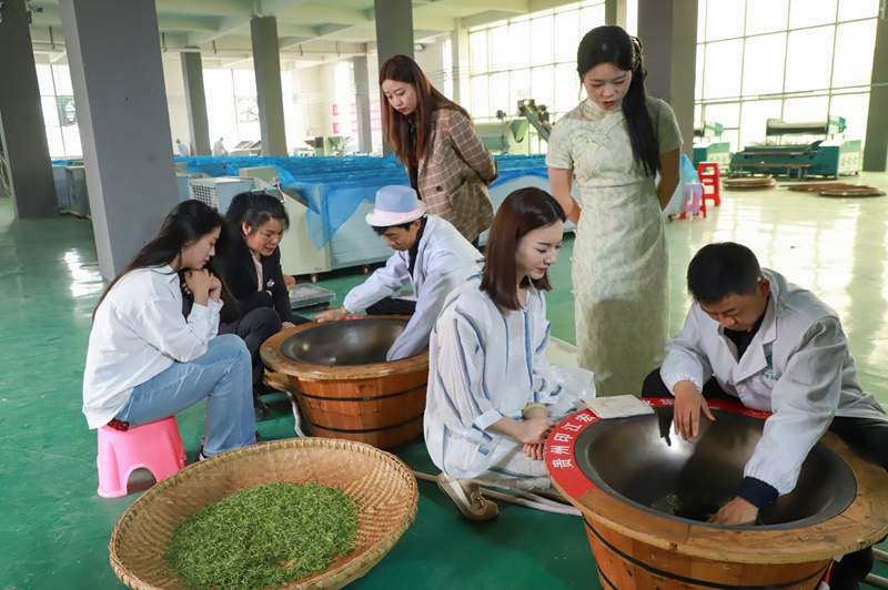 游客正在體驗炒茶。