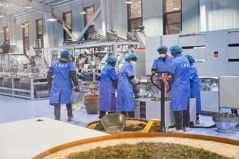 2 圖為貴州眾鑫富茶農業開發有限公司茶葉生產車間