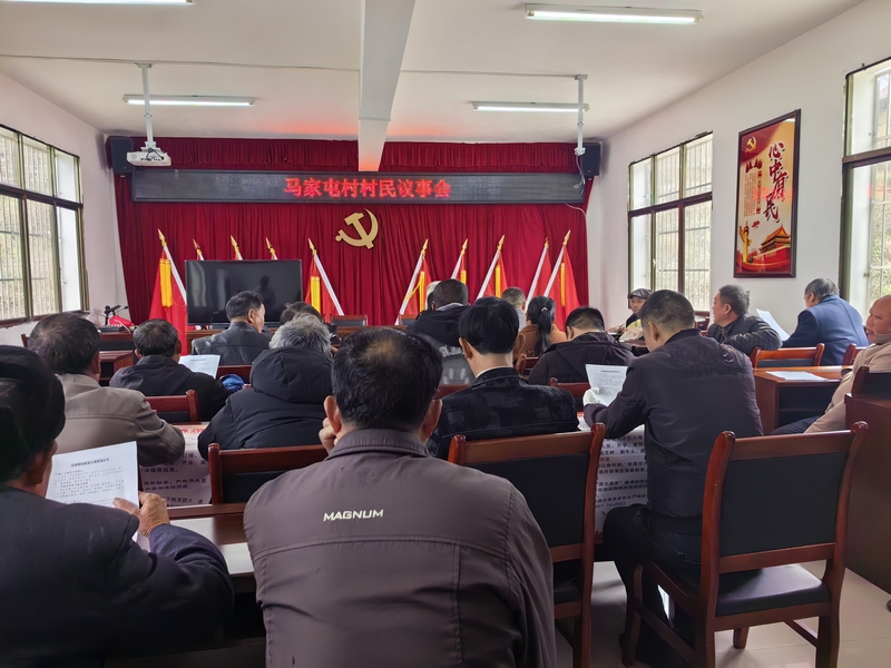 織金縣馬場鎮馬家屯村召開村民議事會。