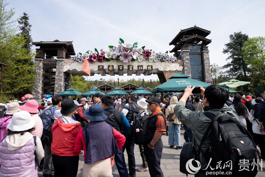 游客正排隊(duì)進(jìn)入景區(qū)觀賞盛開的杜鵑花。人民網(wǎng)記者 涂敏攝