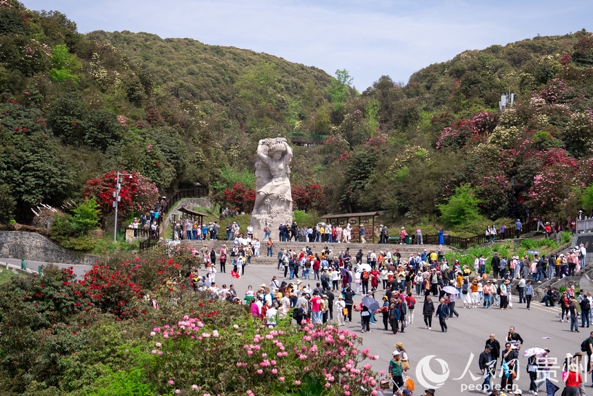 游客在景區(qū)內(nèi)觀(guān)賞盛開(kāi)的杜鵑花。人民網(wǎng)記者 涂敏攝