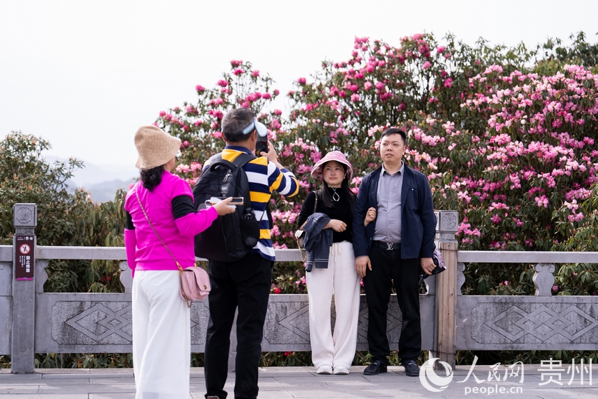 前來賞花的游客在盛開的杜鵑花前打卡拍照。人民網記者 涂敏攝