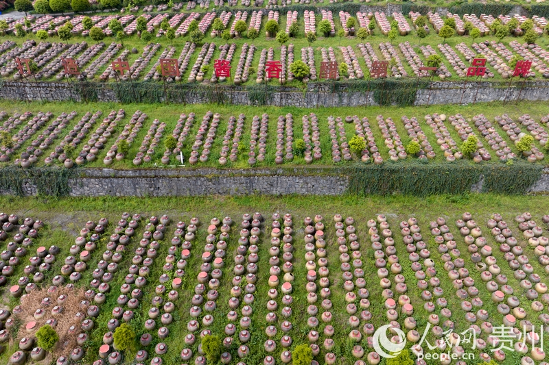 航拍金沙縣泡木灣醬香醋業園醋胚露酵區。人民網記者 涂敏攝