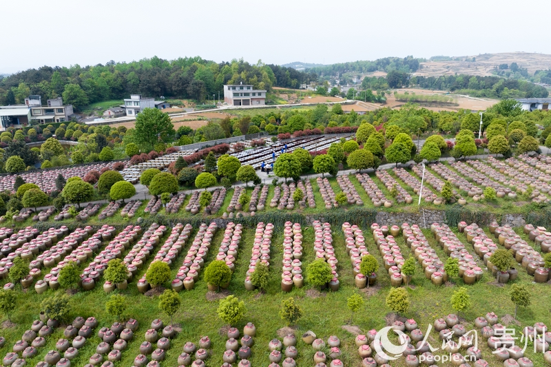 航拍金沙縣泡木灣醬香醋業園醋胚露酵區。人民網記者 涂敏攝