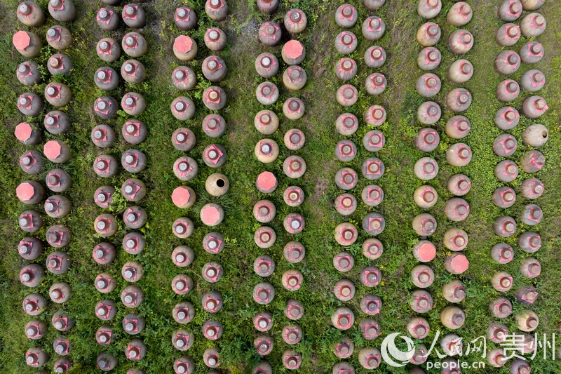 航拍金沙縣泡木灣醬香醋業園醋胚露酵區。人民網記者 涂敏攝