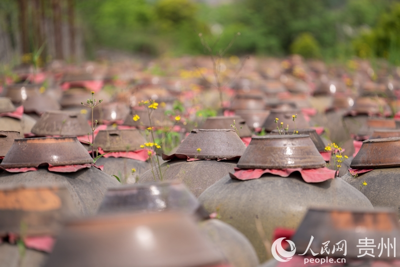 園區內正在發酵的醬香醋胚。人民網記者 涂敏攝