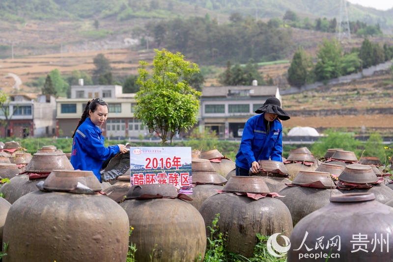 工作人員正在檢查醋胚的成色及發(fā)酵情況。人民網(wǎng)記者 涂敏攝