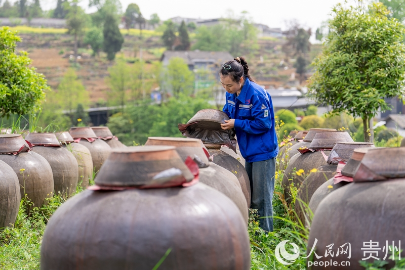 工作人員正在檢查醋胚的成色及發(fā)酵情況。人民網(wǎng)記者 涂敏攝