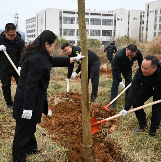 新春伊始萬象新，植綠添彩正當時。2月5日，春節假期后的首個工作日，開陽縣四班子領導率經開區、縣人武部及民兵、縣直各部門、縣青年志愿者……