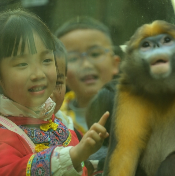 3月19日，小朋友在貴州梵凈山國家級自然保護區黔金絲猴研究中心參加自然教育活動。