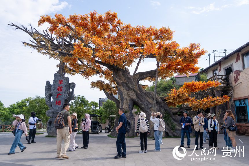 游客在景區內游覽。人民網記者 涂敏攝